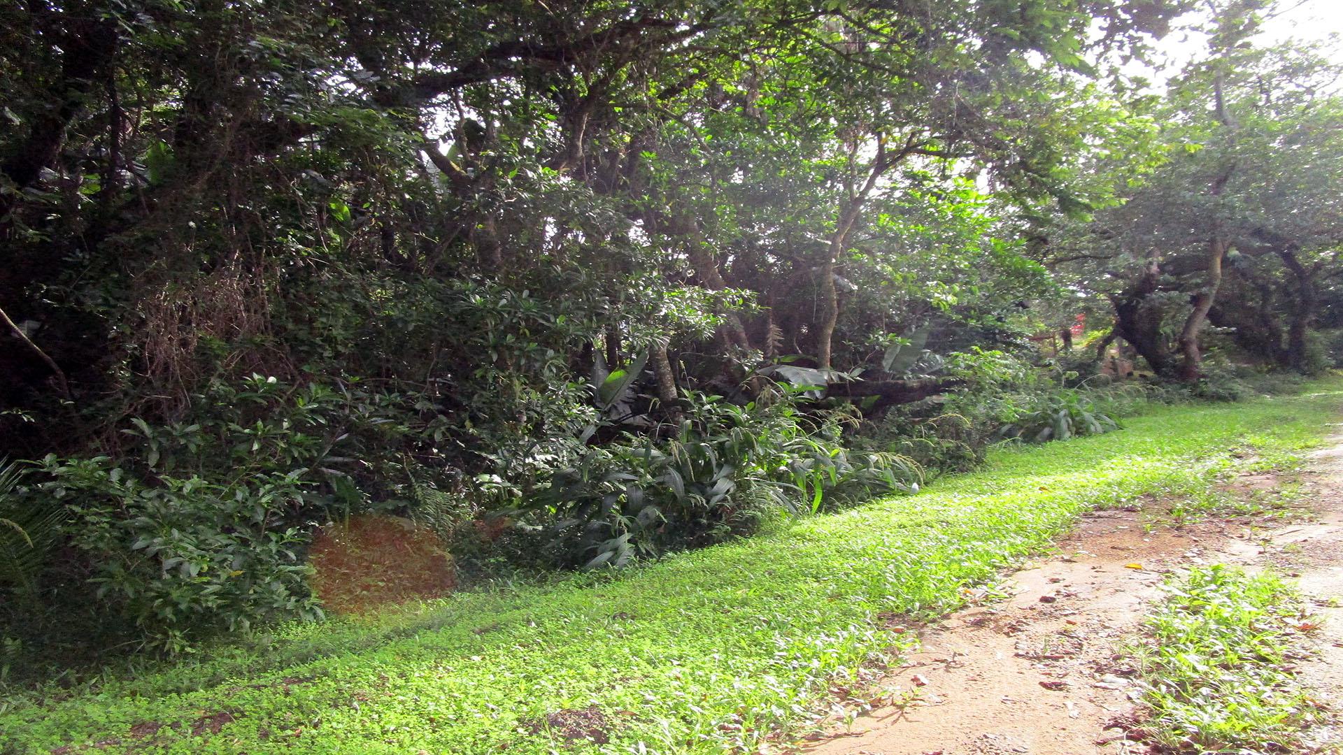 Spaces of property in Leisure Bay