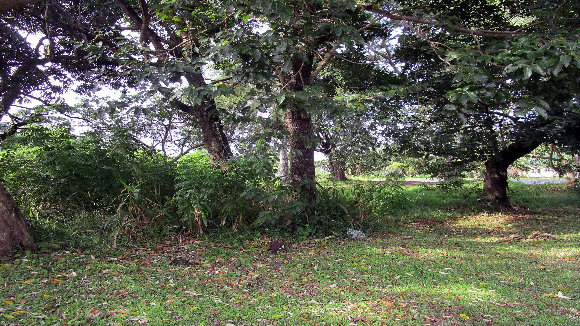 Front View of property in Port Edward