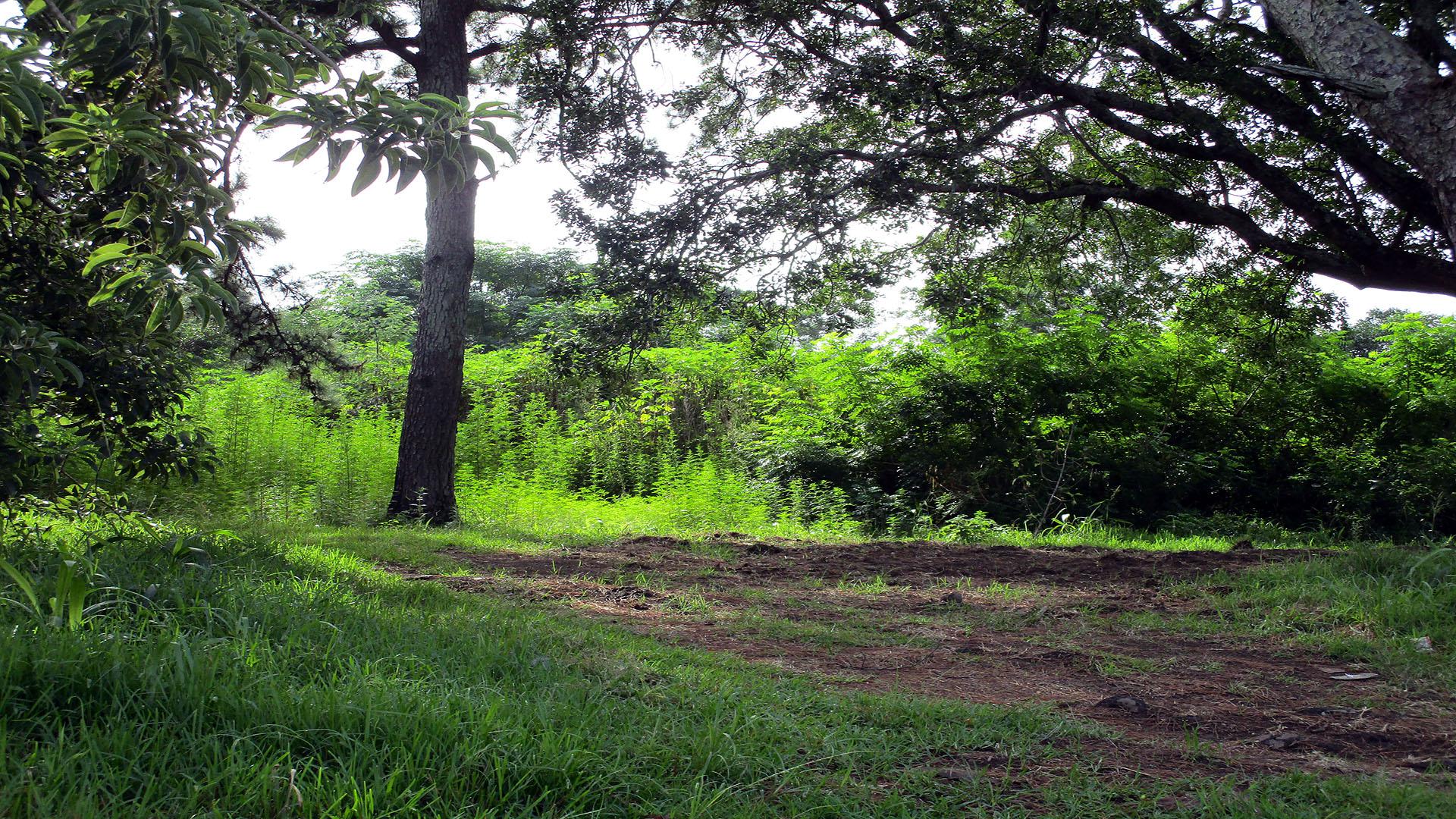 Front View of property in Port Edward