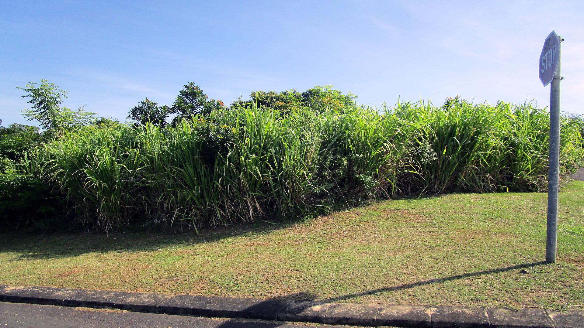 Front View of property in Sea Park