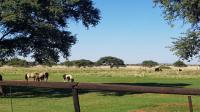 Backyard of property in Boshof