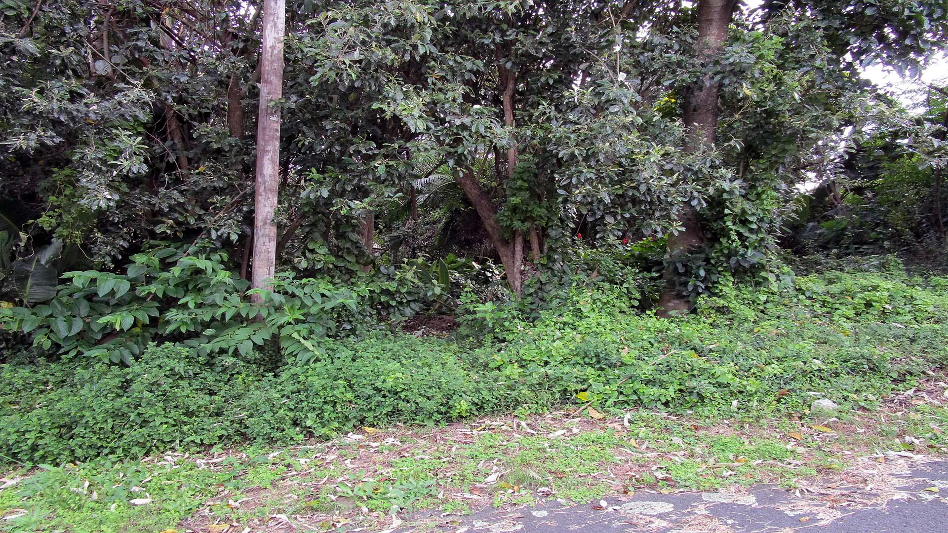 Front View of property in Melville KZN