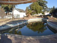 Backyard of property in Grootvlei