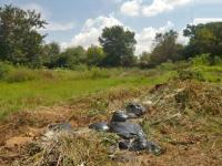 Land for Sale for sale in Buccleuch