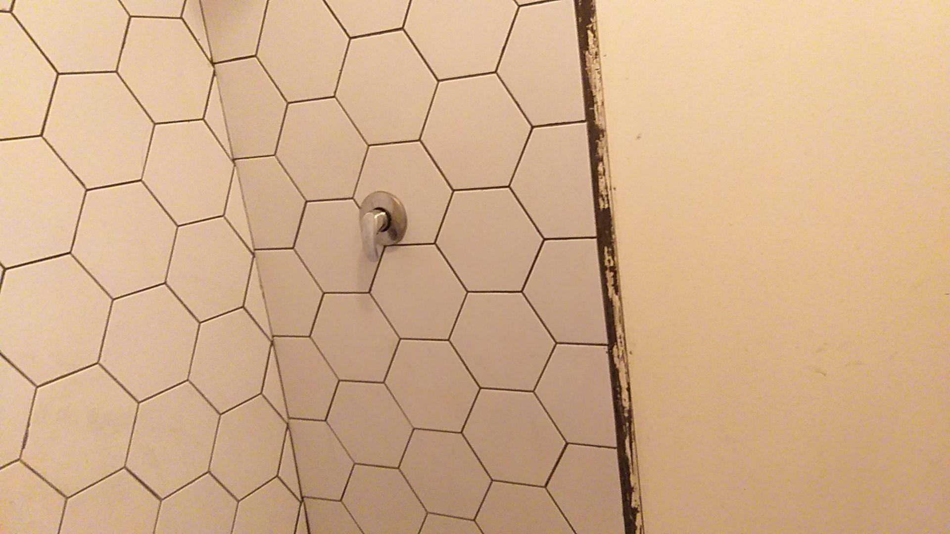 Bathroom 1 - 3 square meters of property in Wychwood