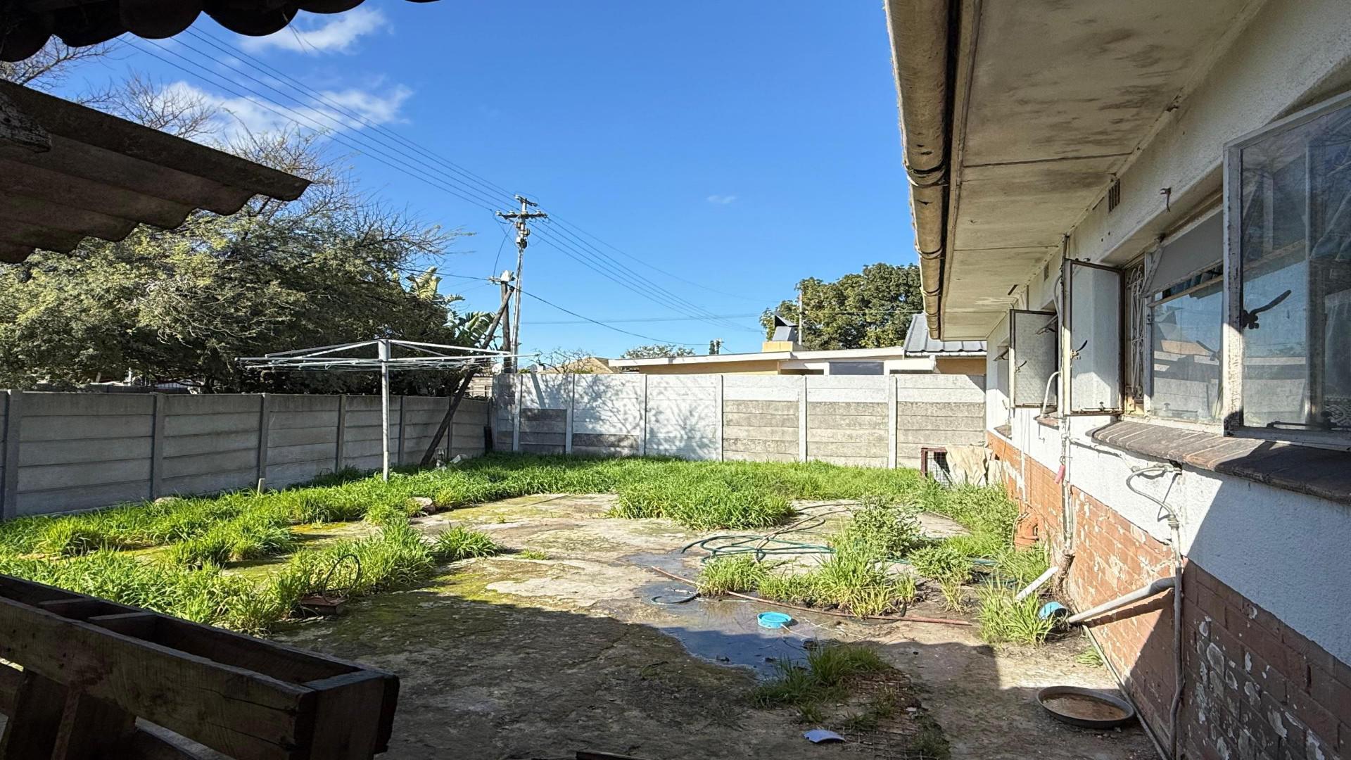 Backyard of property in Shirley Park
