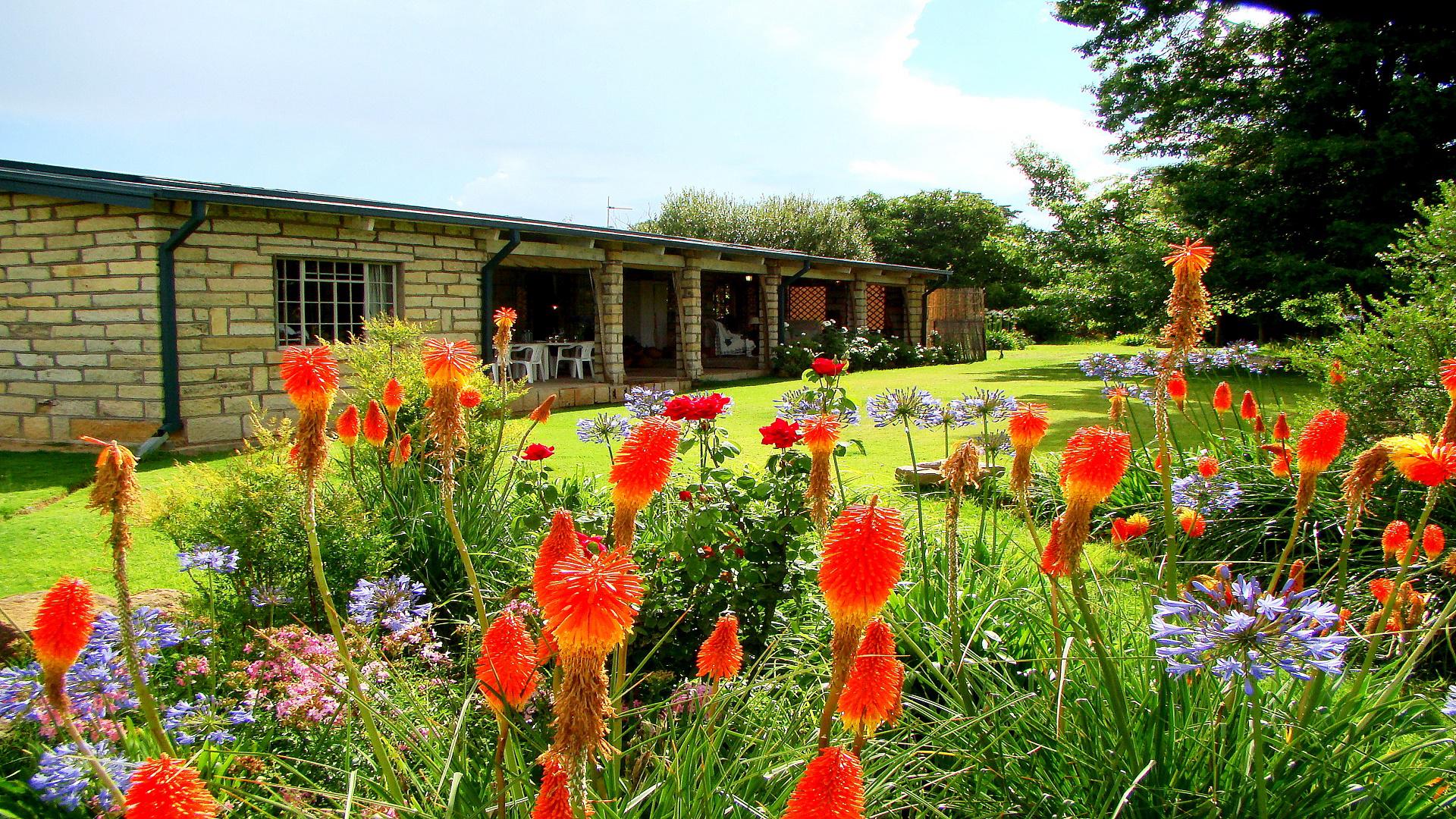 Front View of property in Ficksburg