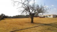 Backyard of property in Benoni AH