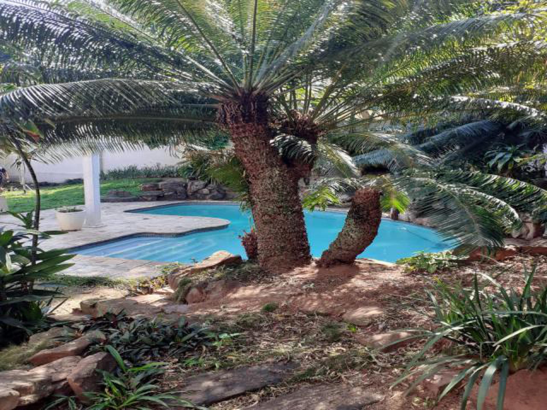 Backyard of property in Essenwood