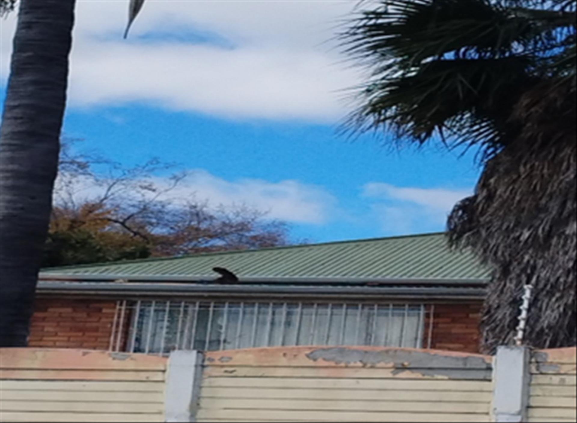Front View of property in Rosettenville