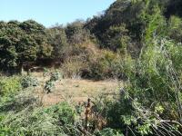 Smallholding for Sale for sale in Umkomaas