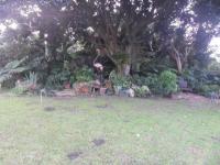 Backyard of property in Glenmore (KZN)