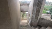 Backyard of property in Quellerina