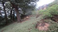 Backyard of property in Quellerina