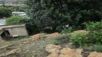 Backyard of property in Quellerina