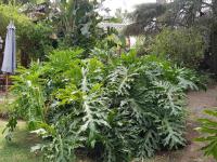  of property in Randhart
