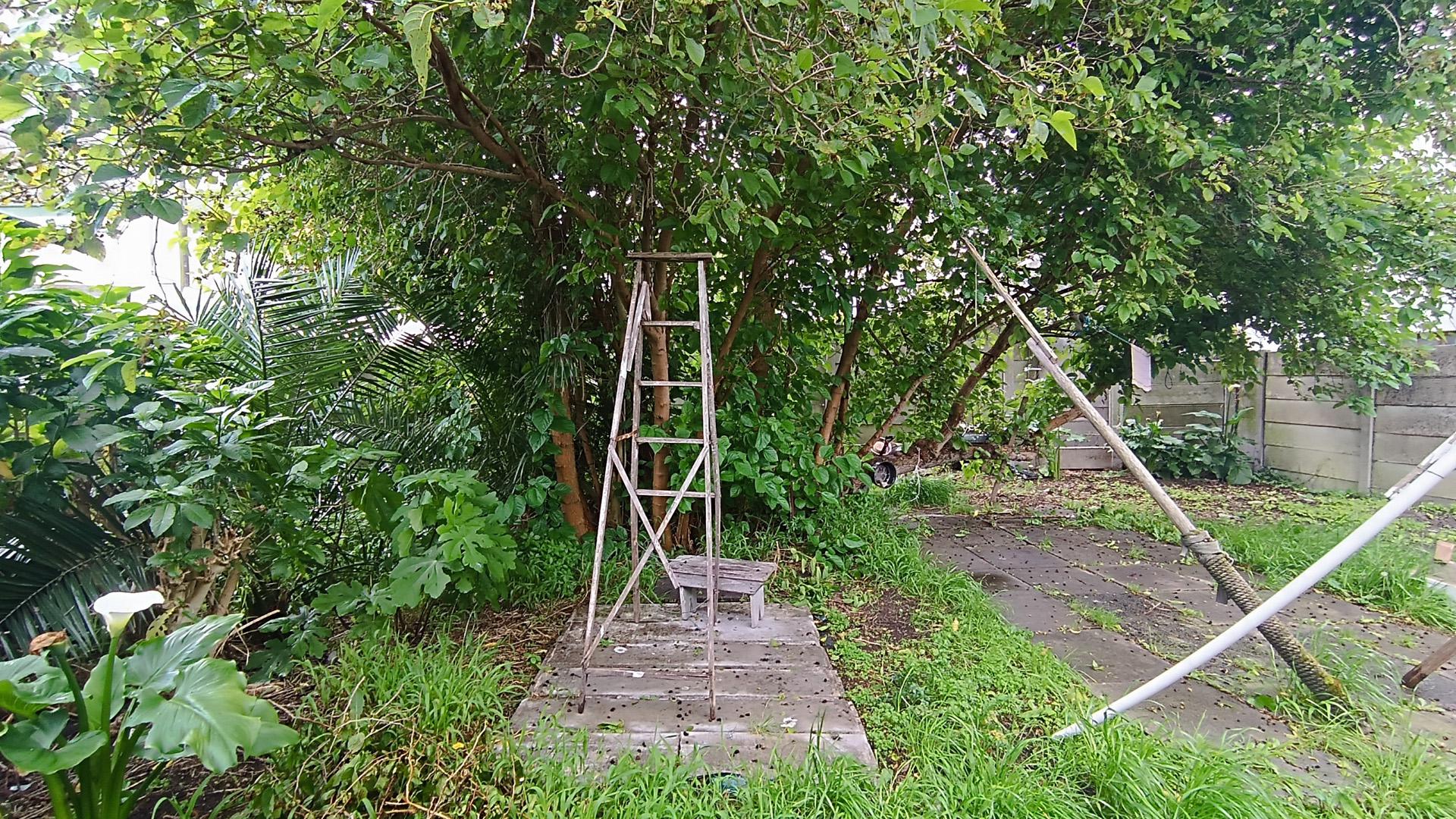 Backyard of property in Wynberg - CPT