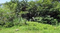 Land for Sale for sale in Hibberdene