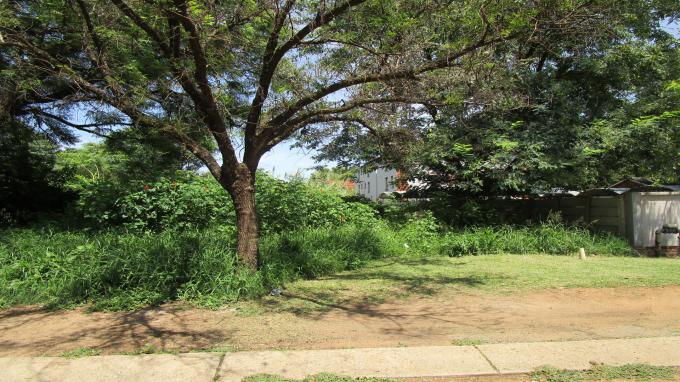 Land for Sale For Sale in Wolmer - Home Sell - MR352827