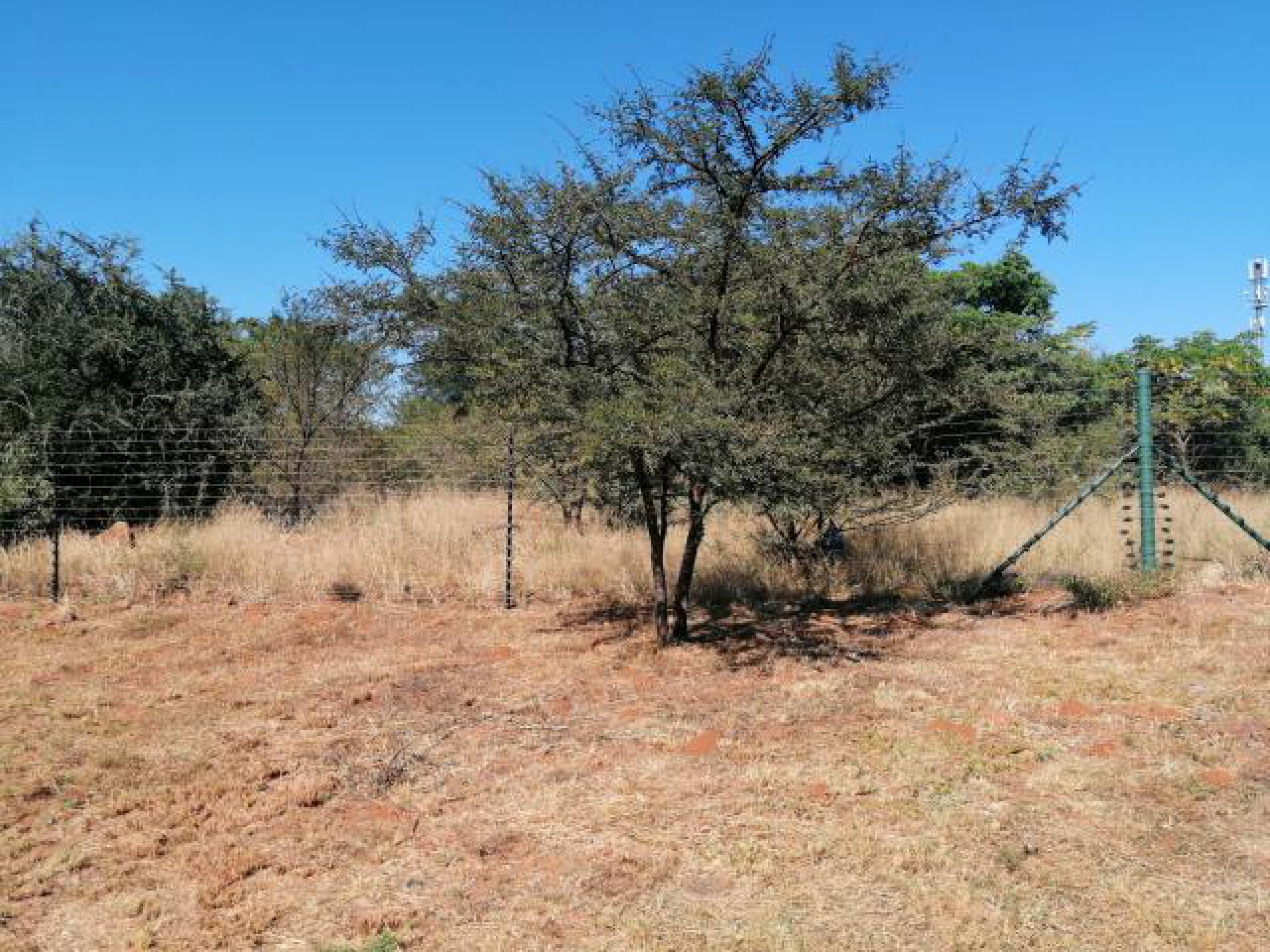 Front View of property in Flimieda