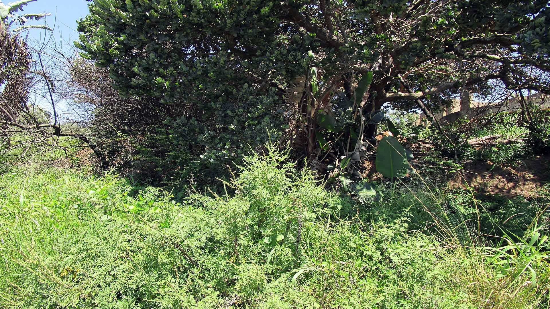 Front View of property in Oslo Beach