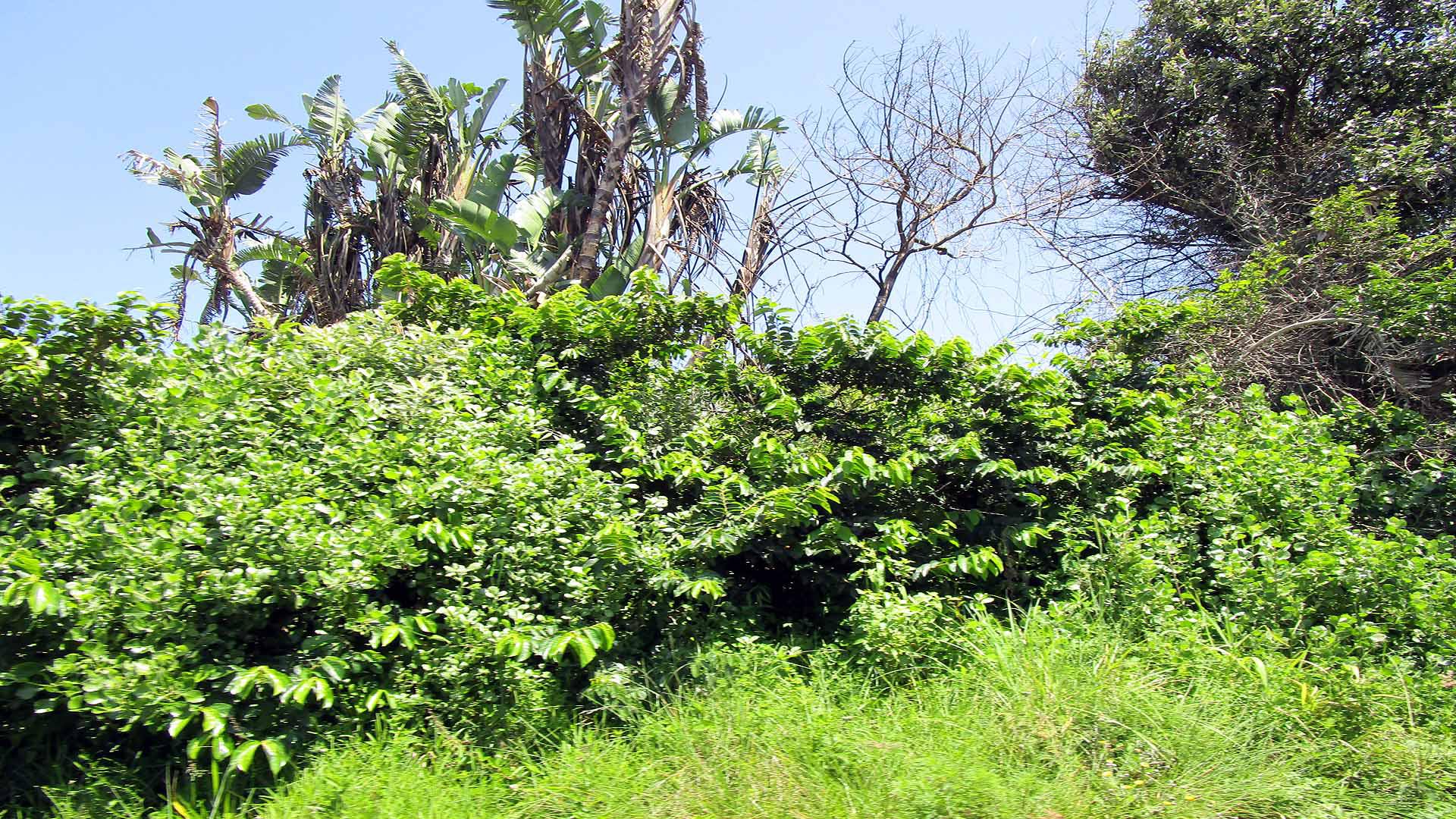 Front View of property in Oslo Beach