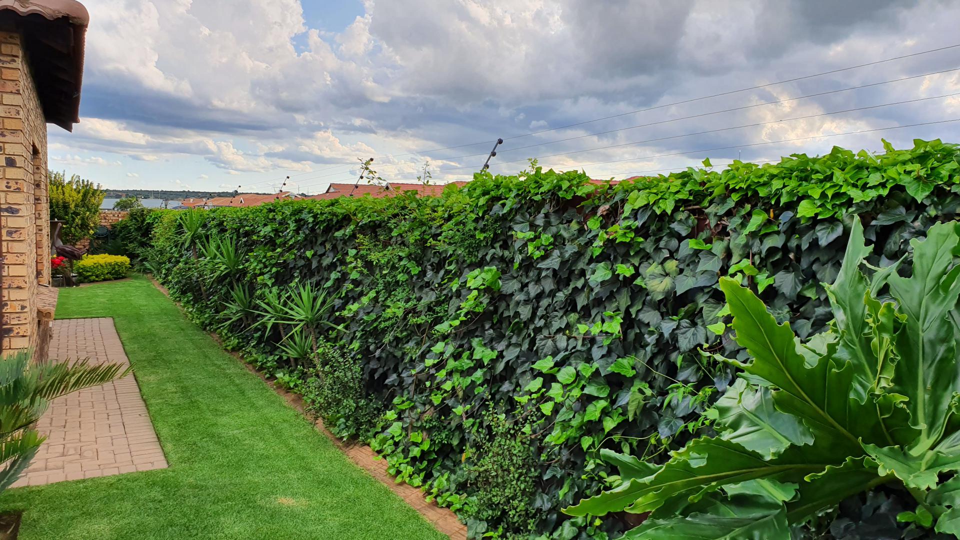 Backyard of property in Aerorand