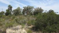 Backyard of property in Hopefield