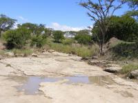  of property in Estcourt