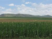  of property in Winterton