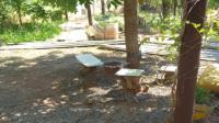 Garden of property in Steynsburg
