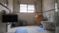 Bathroom 1 - 22 square meters of property in Florida