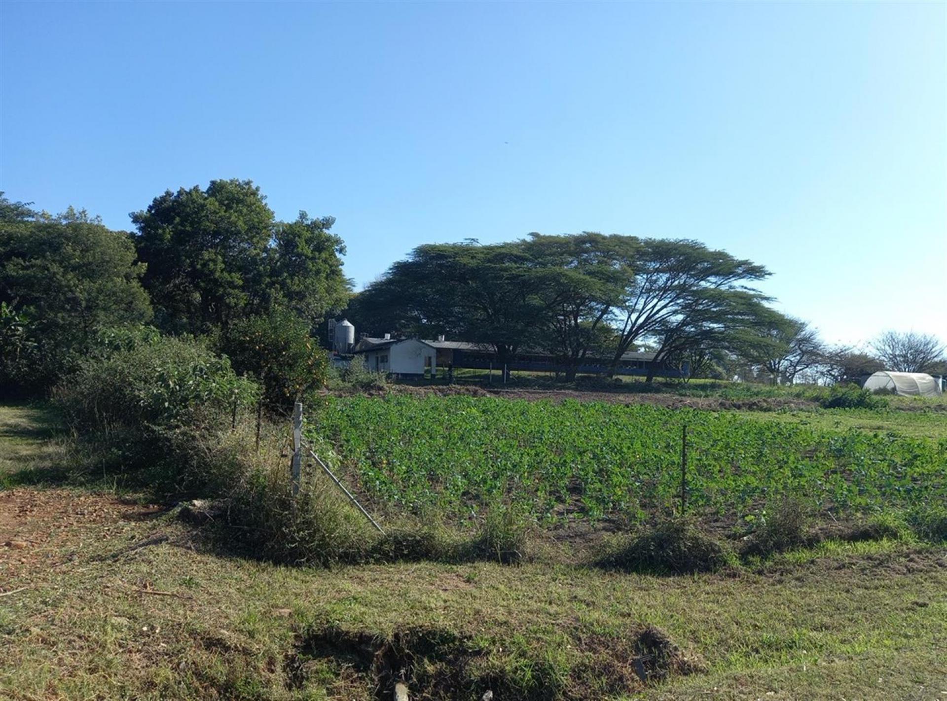 Front View of property in Ogies