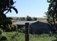 Front View of property in Ogies