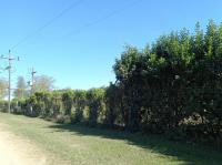 Front View of property in Ogies