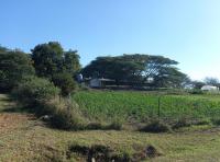 Front View of property in Ogies