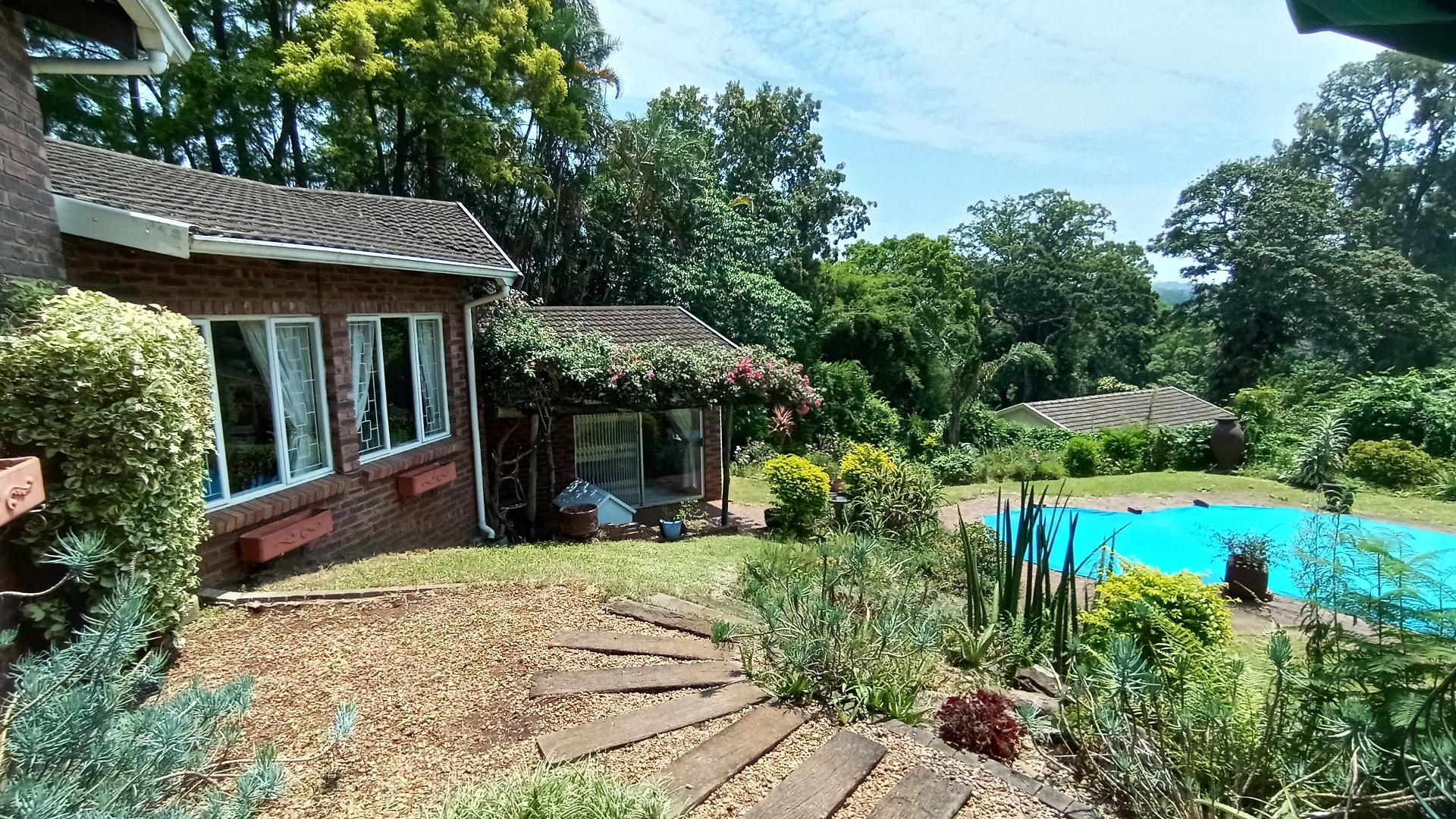 Backyard of property in Kloof 
