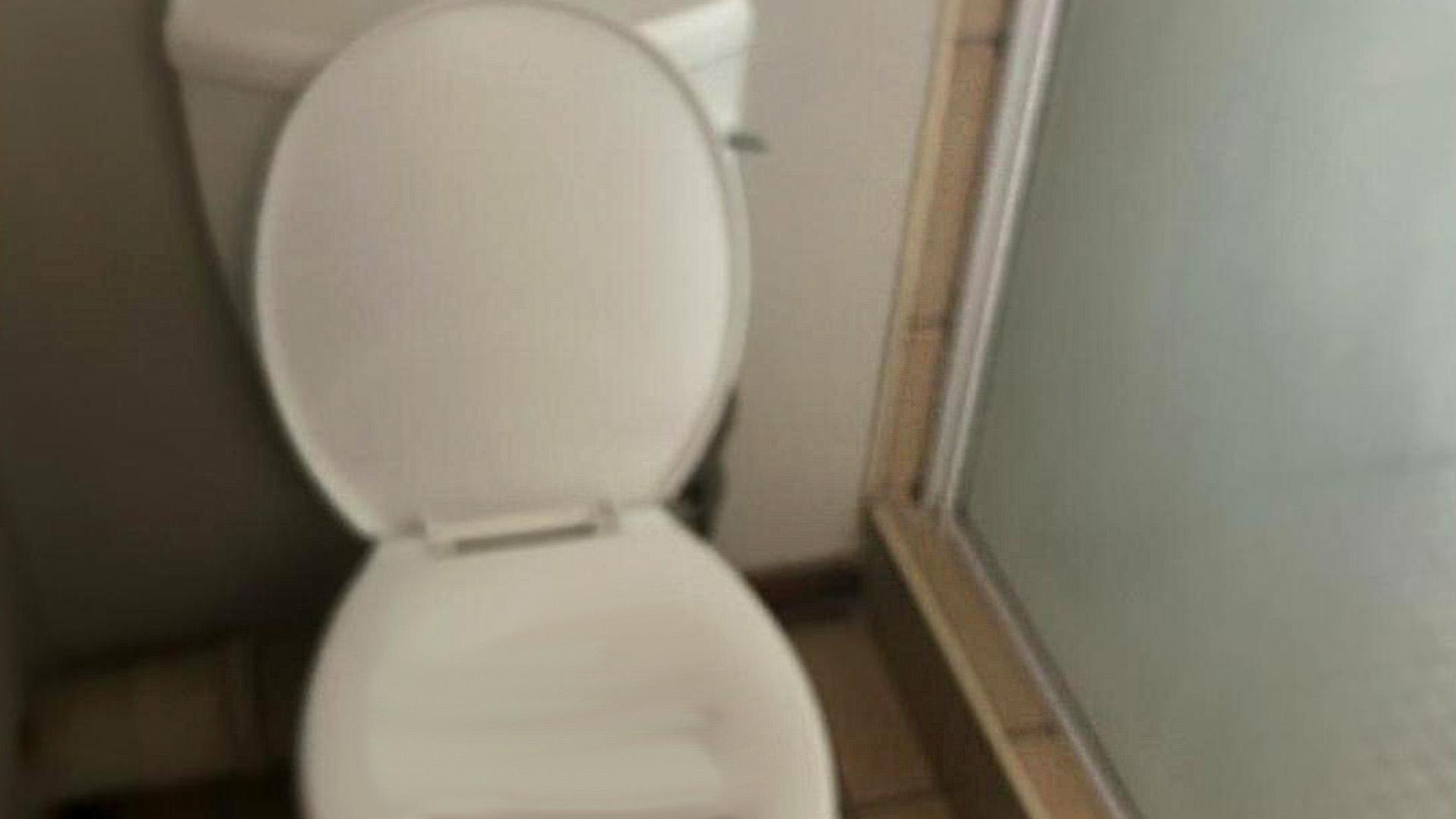 Bathroom 1 of property in Dassierand