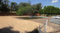 Backyard of property in Walkerville