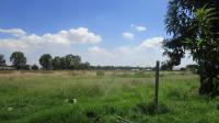 Backyard of property in Walkerville