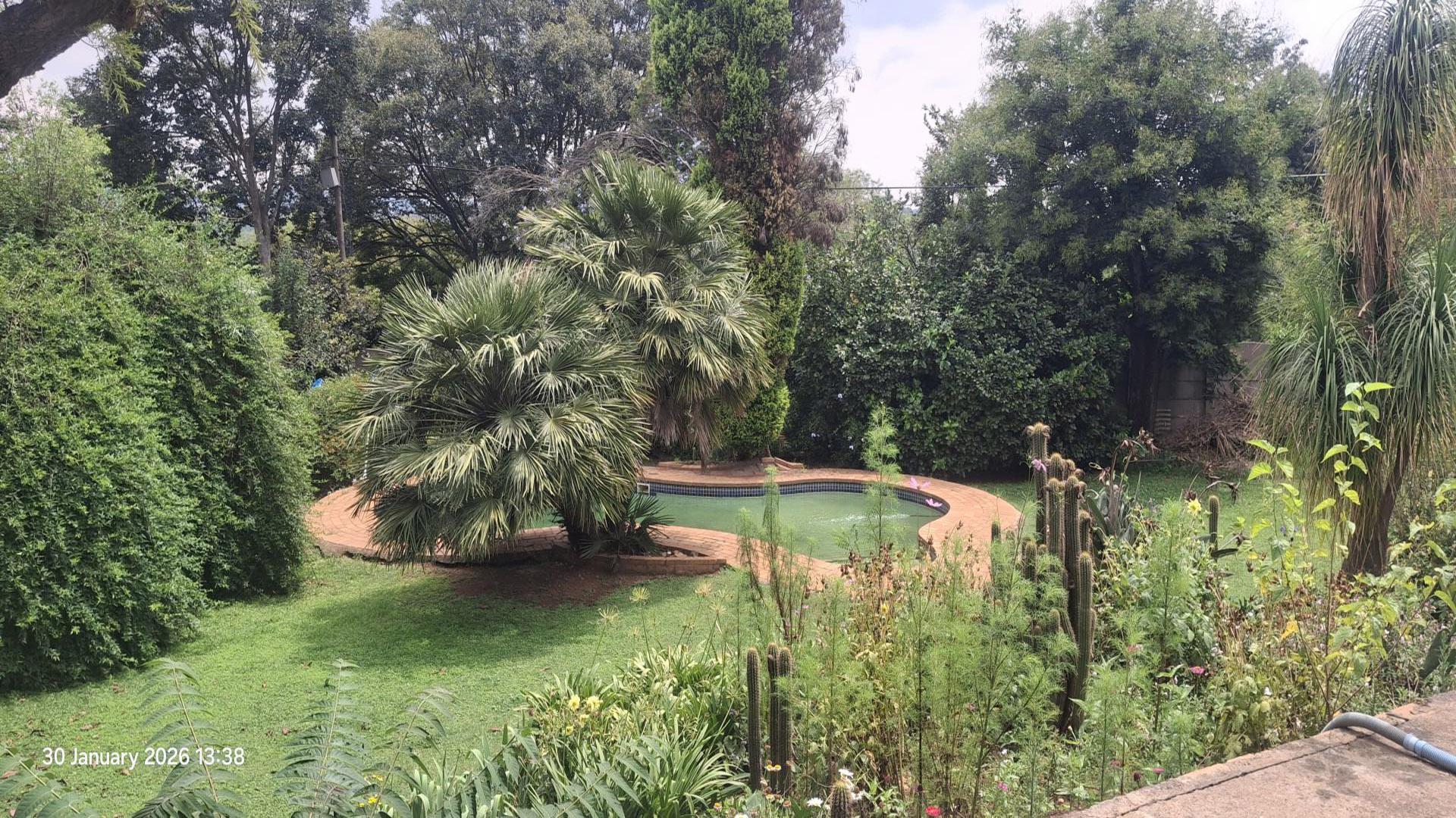 Backyard of property in Rembrandt Park