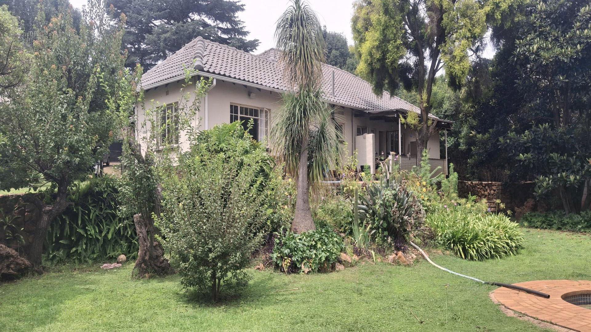 Backyard of property in Rembrandt Park