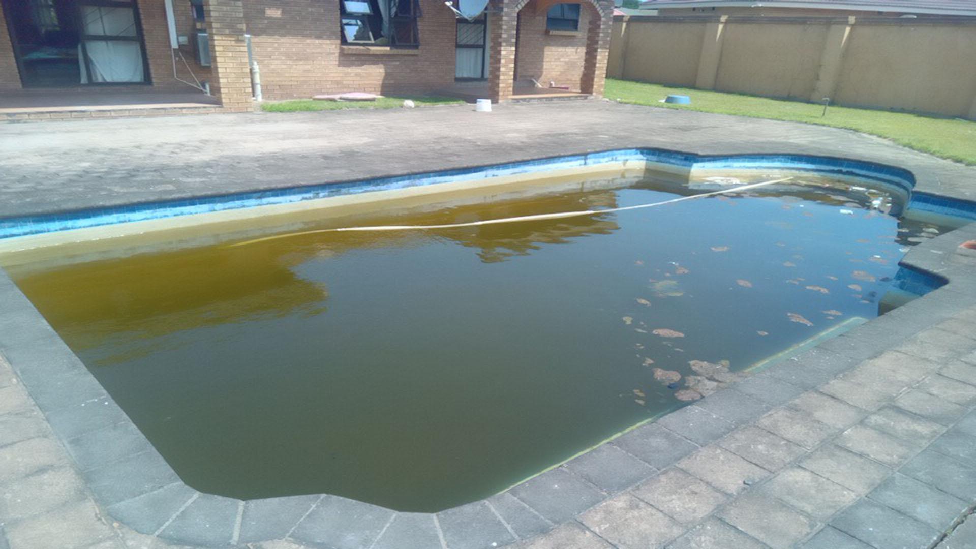 Backyard of property in Richards Bay