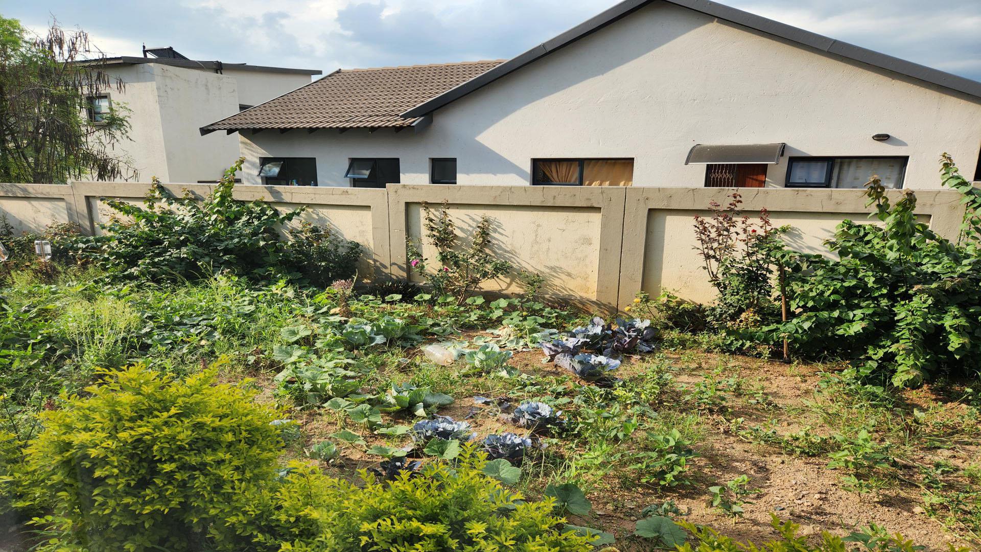 Backyard of property in Roodeplaat