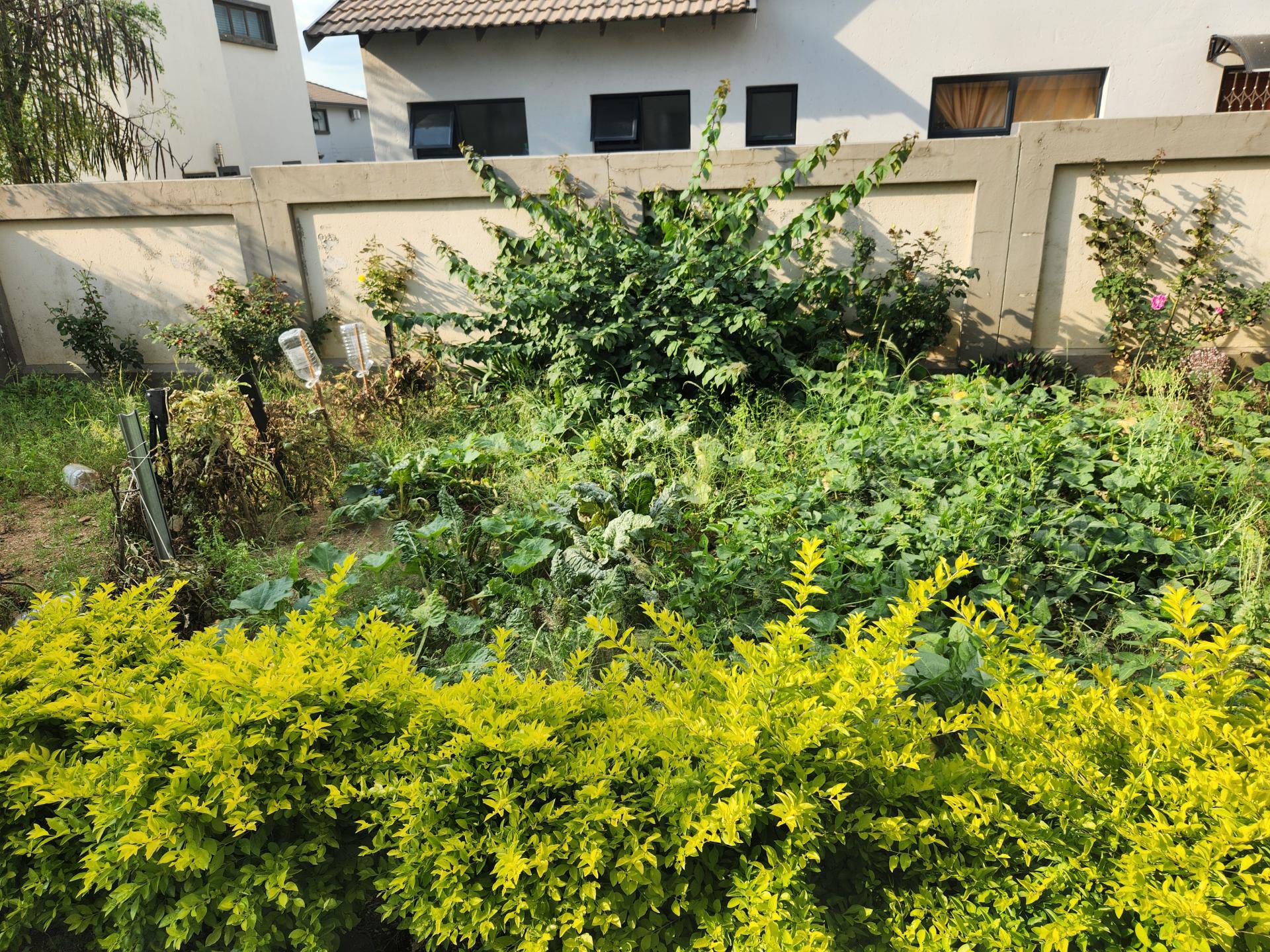 Bathroom 1 - 4 square meters of property in Roodeplaat