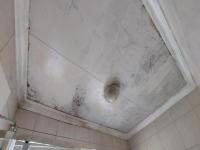 Bathroom 1 - 6 square meters of property in Ferryvale