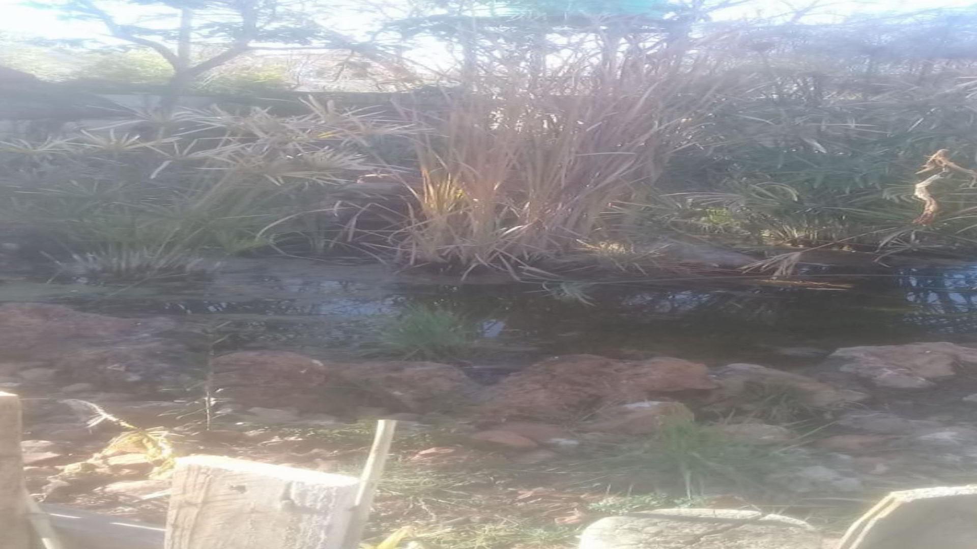 Backyard of property in Hartebeesfontein