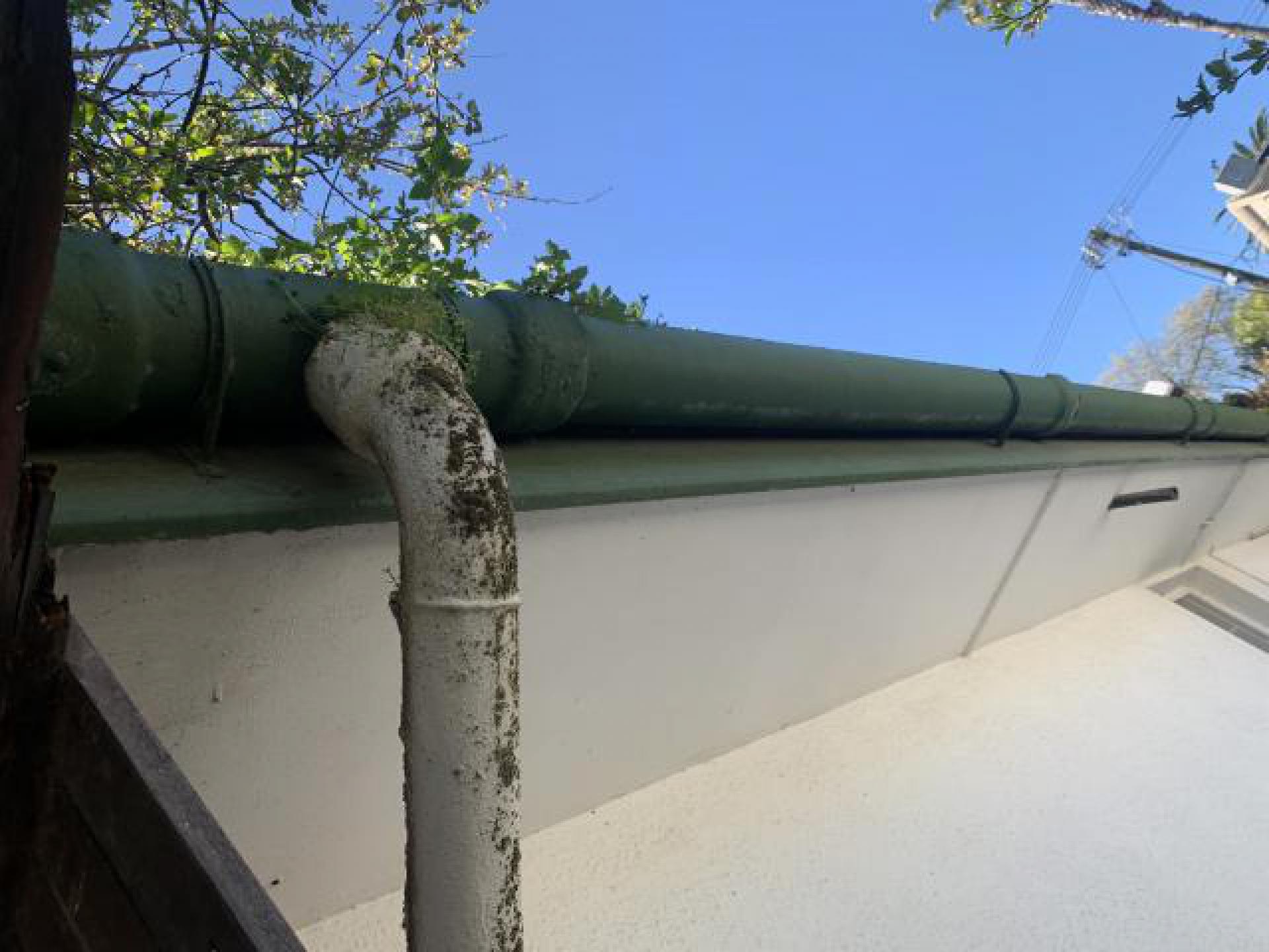 Backyard of property in Kenridge 