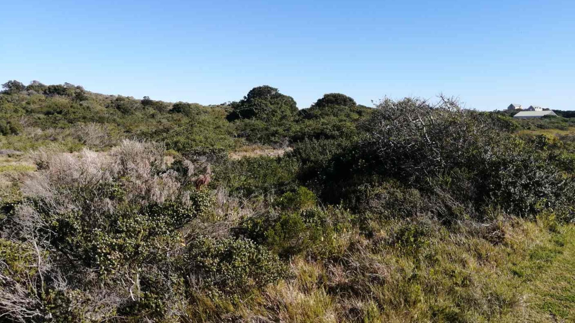 Front View of property in St Francis Bay