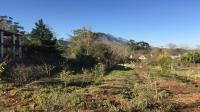 Land for Sale for sale in Greyton